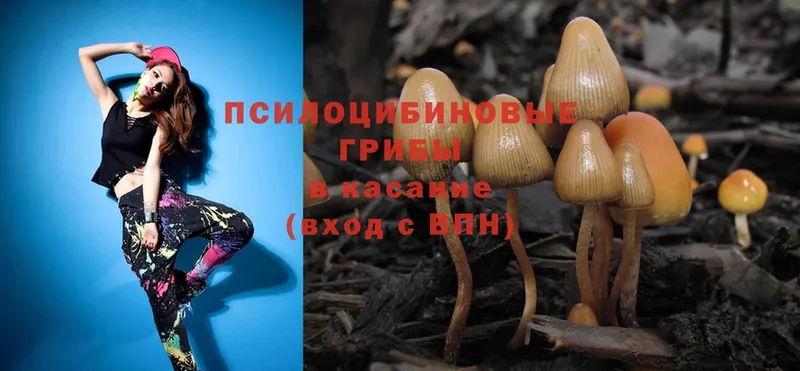 Псилоцибиновые грибы Magic Shrooms  Верхняя Тура 